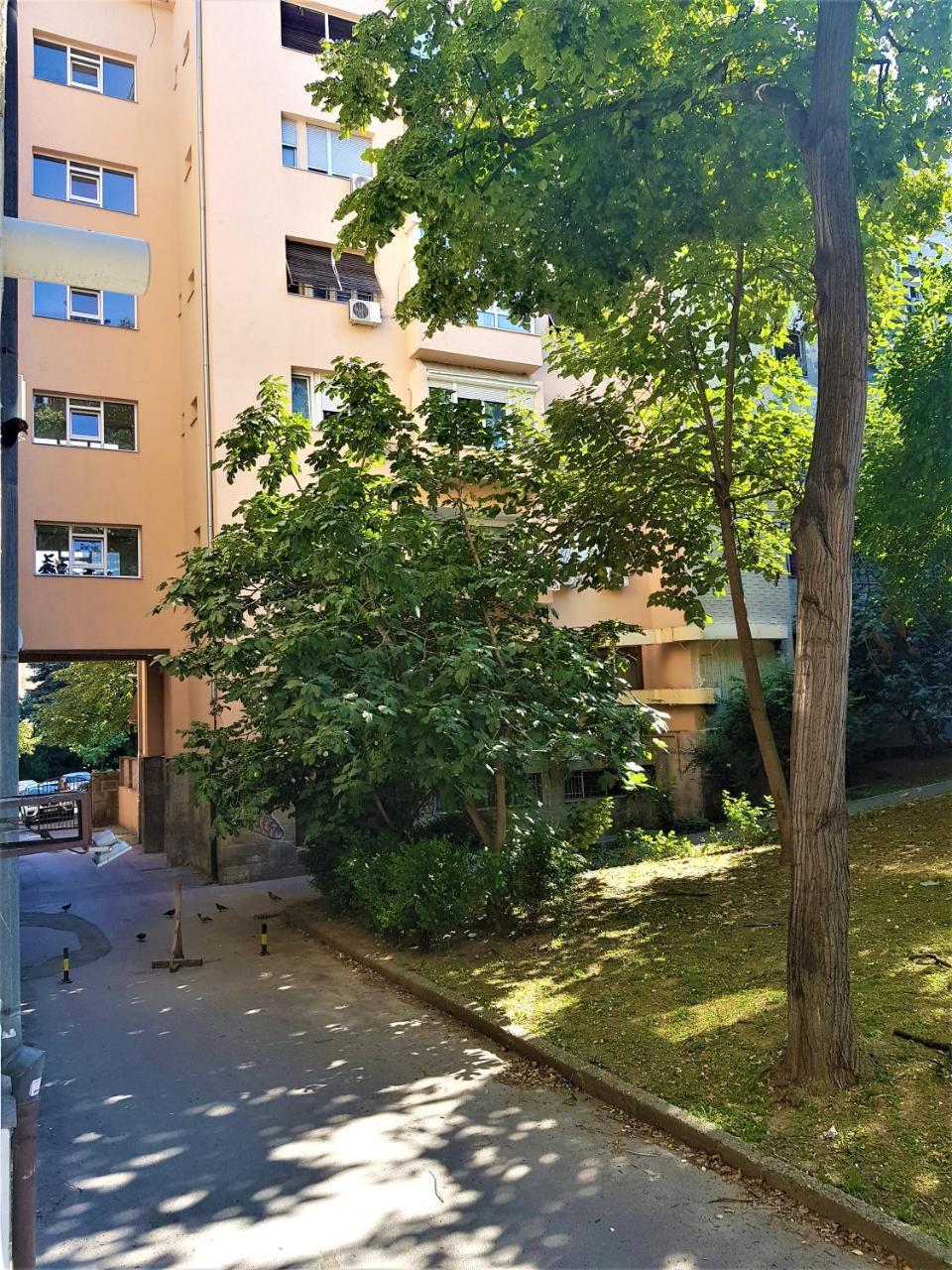Asya Blue Studio Белград Екстериор снимка